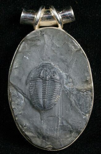 Sterling Silver Elrathia Trilobite Pendant #4867